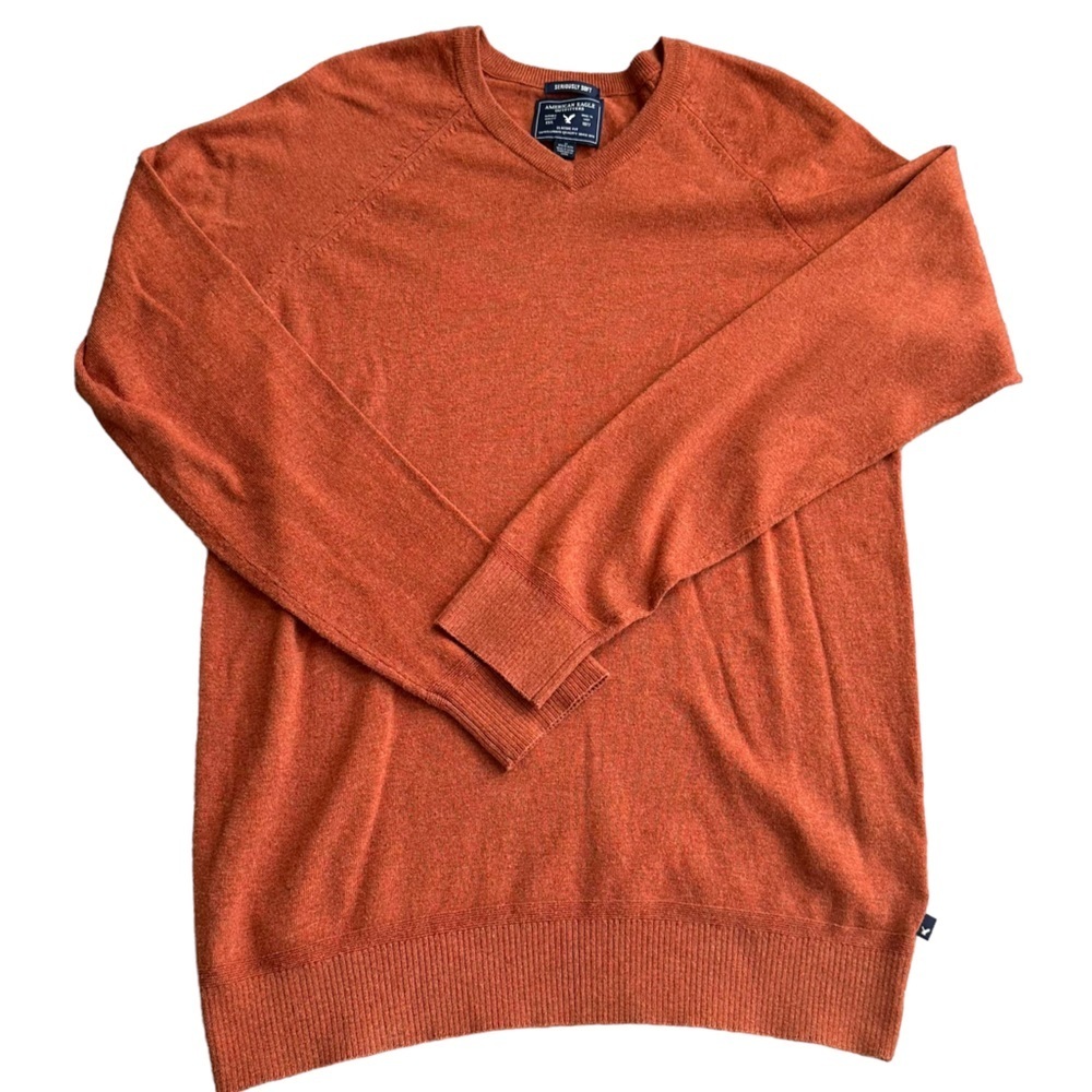 American Eagle Mens Seriously Soft‎ Knitted Wool Blend V-Neck Sweater Size L